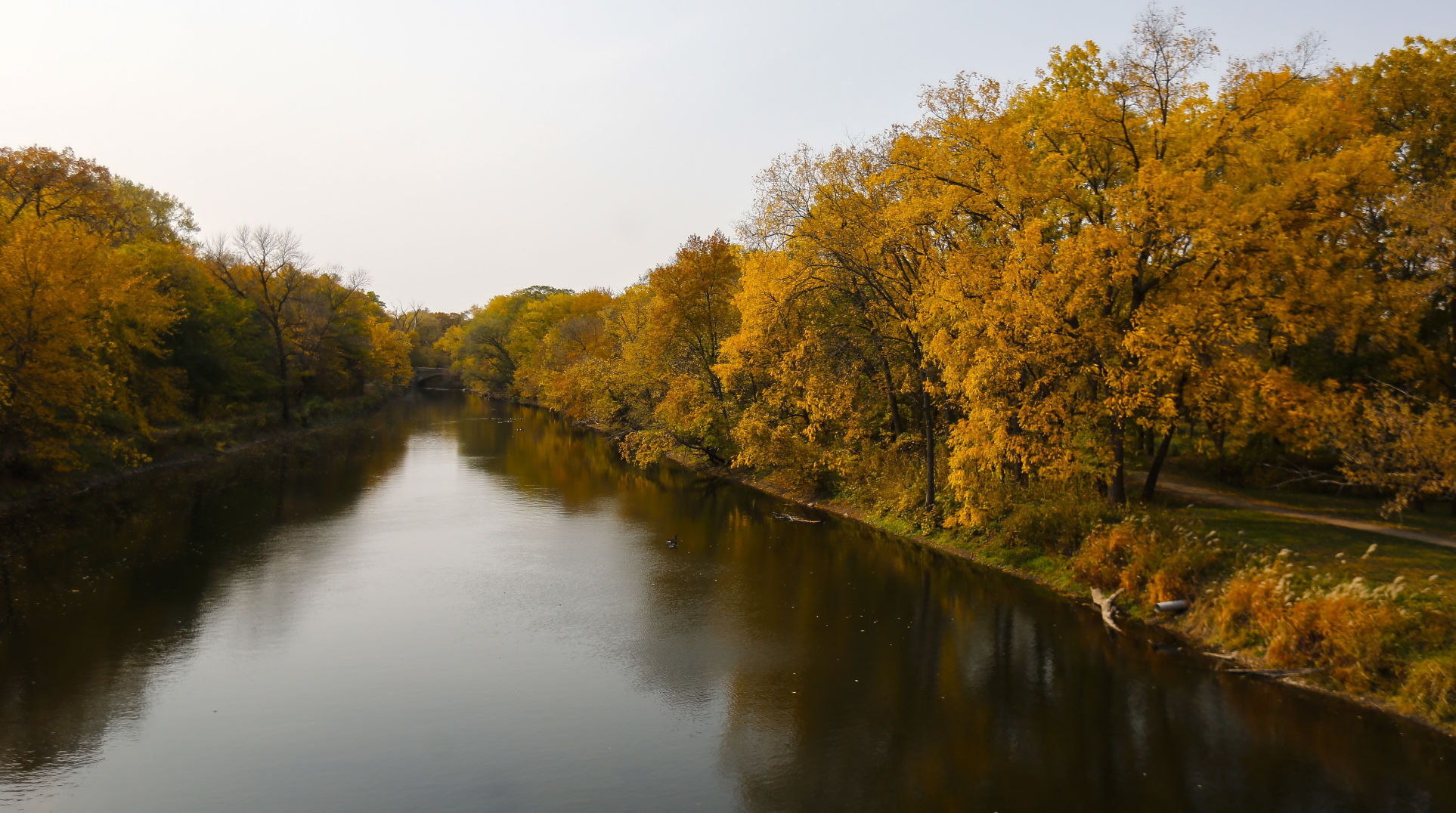 Fall